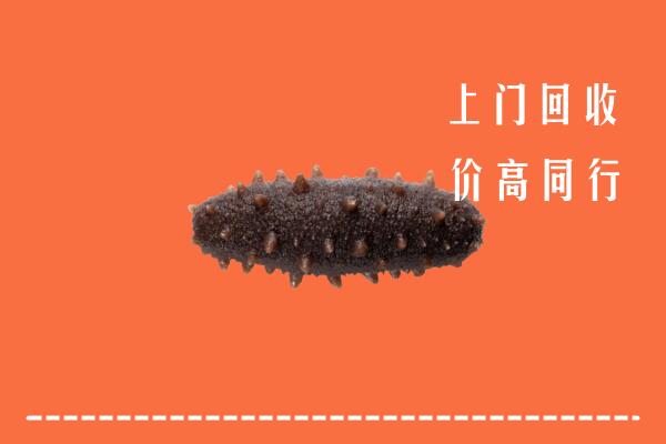 高价求购：甘孜州丹巴回收海参