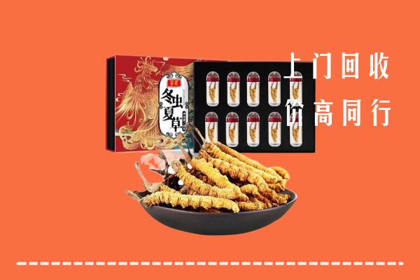 甘孜州丹巴回收虫草